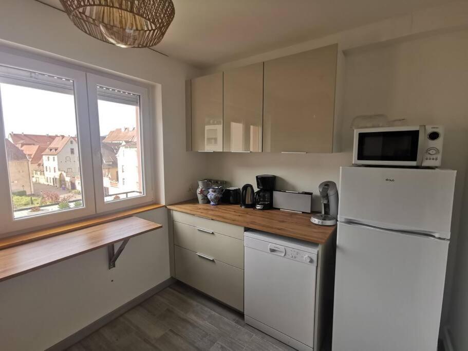 Logement Colmar Centre Avec Parking Экстерьер фото